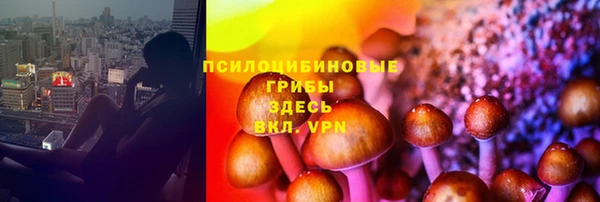 кокс Липки