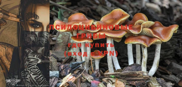 кокс Липки