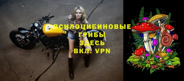 первитин Лиски