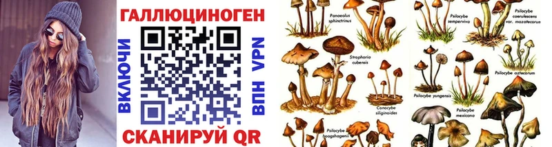 Псилоцибиновые грибы GOLDEN TEACHER  купить наркоту  площадка как зайти  Таруса 