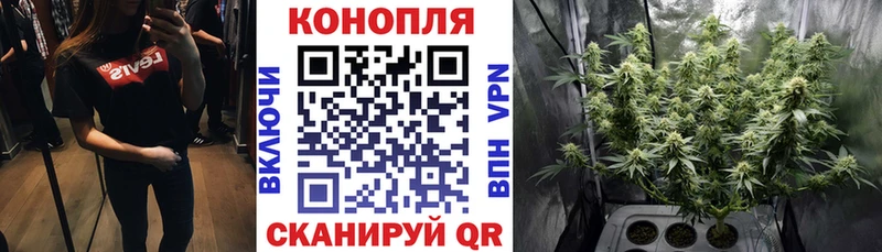 Каннабис ГИДРОПОН  MEGA вход  Таруса 